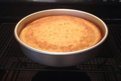 Baked King Arthur Gluten-Free cake, yellow mix