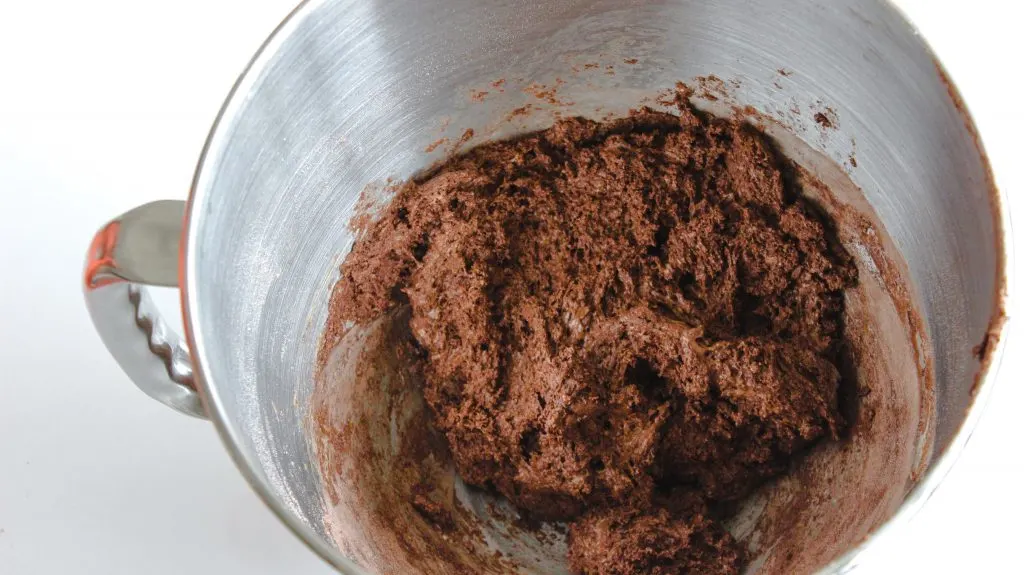 dough for chocolate hazlenut biscotti in mixing bowl