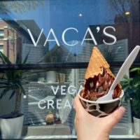 Gluten Free Vegan Ice Cream topped with a gluten free cone from Vaca's Creamery in Chicago