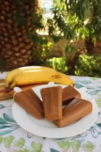 gluten free vegan banana chocolate peanut butter snack pops on white plate with bananas and trees in background