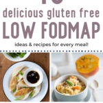 pin image for low fodmap ideas and recipes