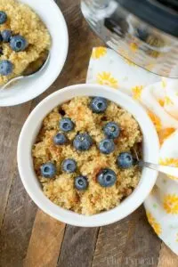 pressure cooker breakfast quinoa in white bowl topped with blueberries on wooden boards