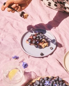 gluten free dairy free blueberry lemon cashew cheesecake on plate on pin picnic blanket