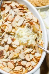 warm swiss cheese dip with almonds