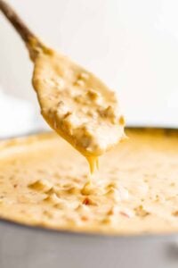 velveeta sausage dip with spoon